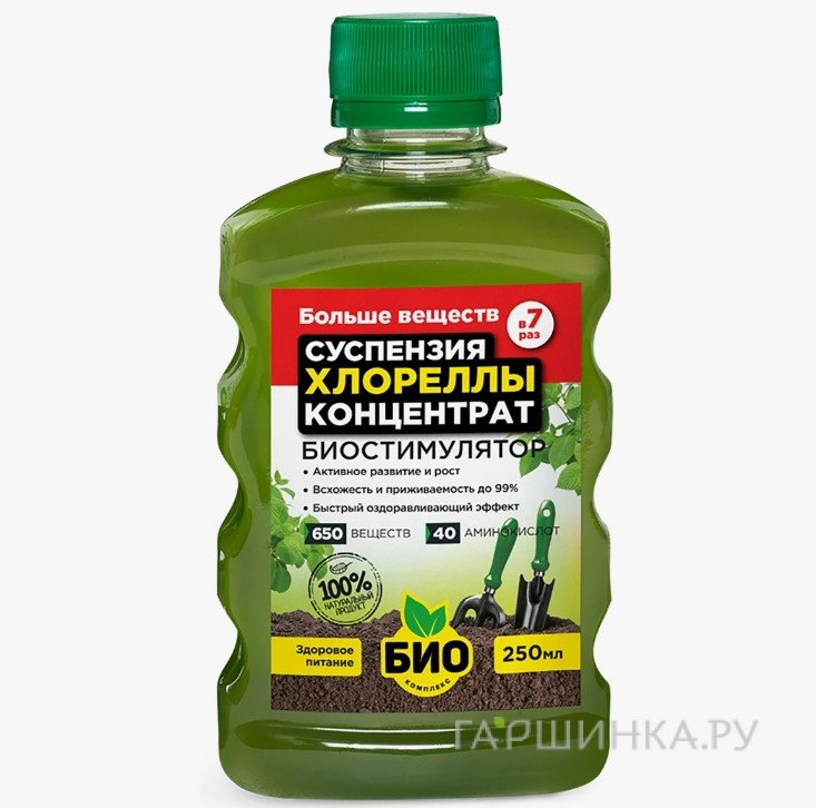 Суспензия Хлореллы
