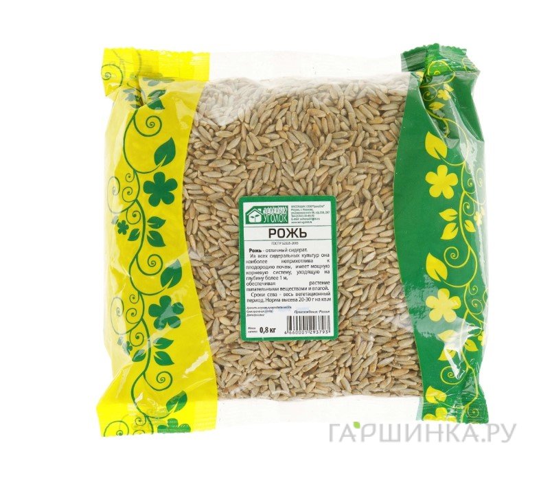 Рожь