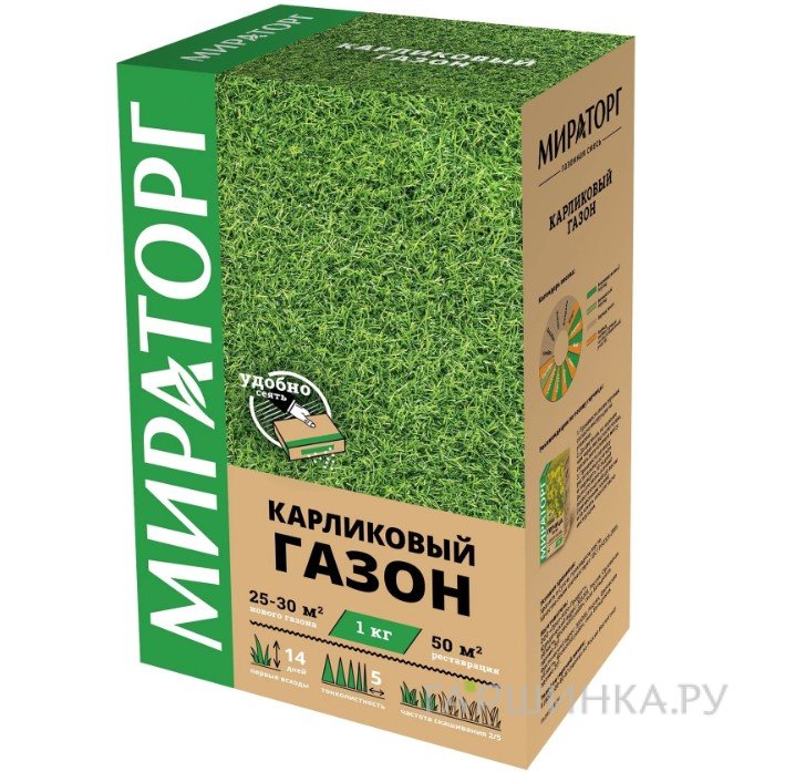 Карликовый газон Мираторг
