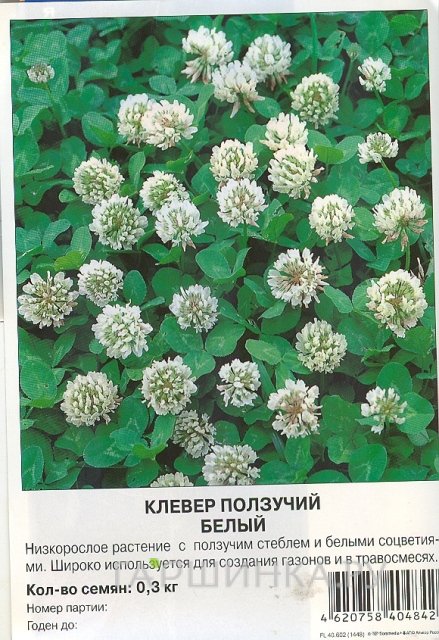 Семена Клевер белый 0,3 кг, Престиж