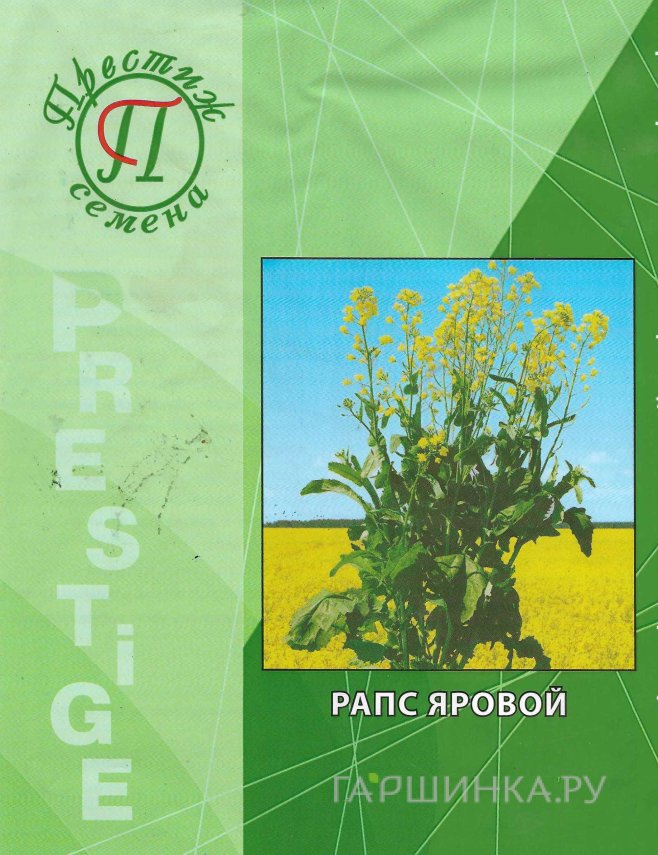 Семена Рапс 0,5 кг, Престиж