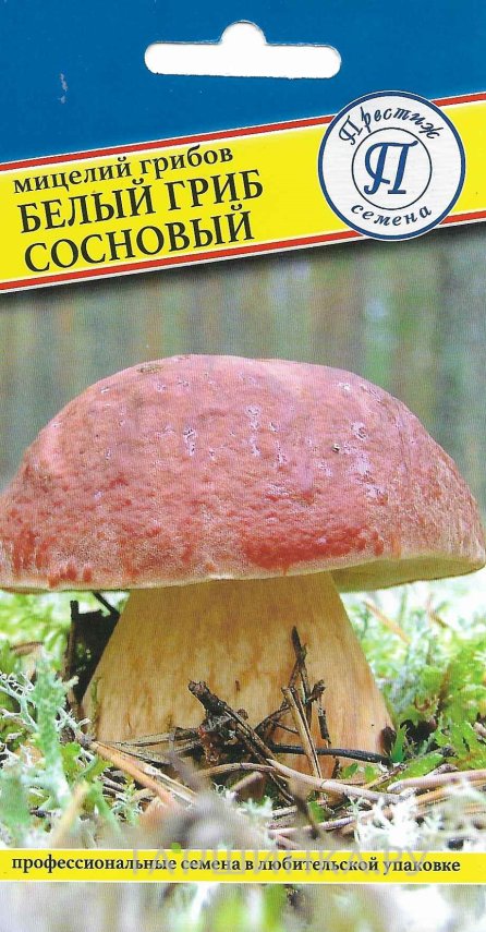 Семена Белый гриб сосновый 50 мл, Престиж