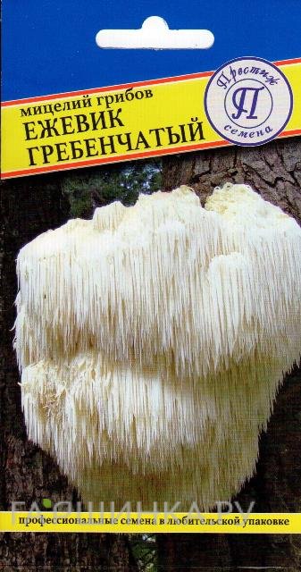 Семена Ежевик гребенчатый (Ямабуши) 12 палочек, Престиж