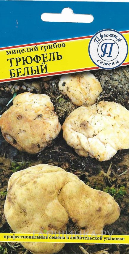 Семена Трюфель белый 50 мл, Престиж