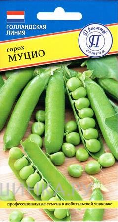 Семена Горх "Муцио" 4 гр, Престиж