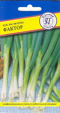 Семена Лук на зелень "Фактор" 0,5 гр, Престиж