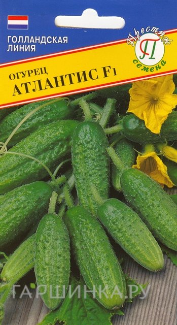 Семена Огурец "Атлантис" F1 7 шт, Престиж