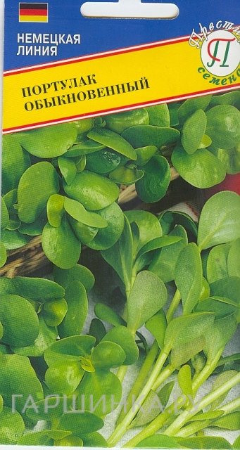 Семена Портулак обыкновенный 1 гр, Престиж