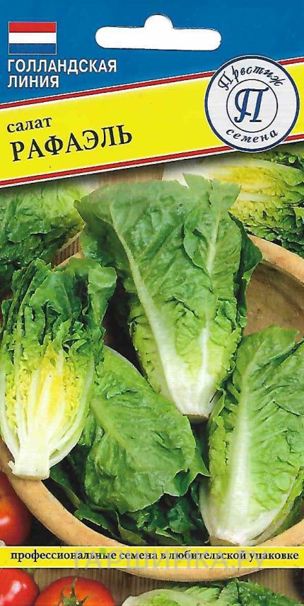 Семена Салат "Рафаэль" 10 шт, Престиж