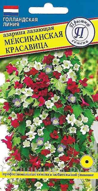 Семена Азарина лазающая "Мексиканская красавица" 5 шт, Престиж