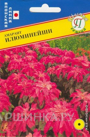 Семена Амарант "Илюминейшн" 25 шт, Престиж