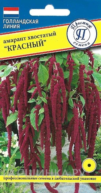 Семена Амарант "Красный" 0,1гр, Престиж