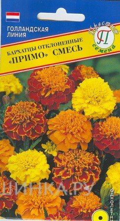 Семена Бархатцы откл."Примо" Смесь 20 шт, Престиж