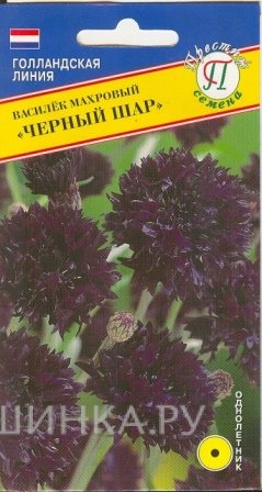 Семена Василек синий махровый "Черный шар" 10 шт, Престиж