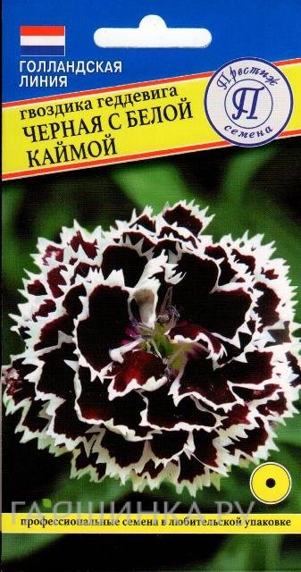 Семена Гвоздика геддевига "Черная с белой каймой" 15 шт, Престиж
