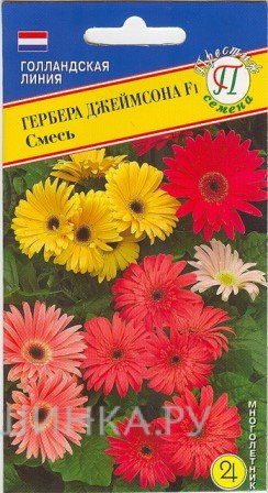 Семена Гербера Джеймсона F1,Смесь 5 шт, Престиж