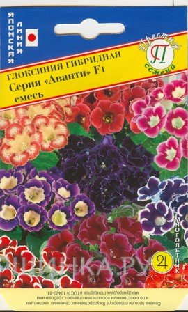 Семена Глоксиния "Аванти"  Смесь F1 10 др, Престиж