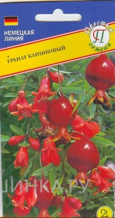 Семена Гранат карликовый 5 шт, Престиж