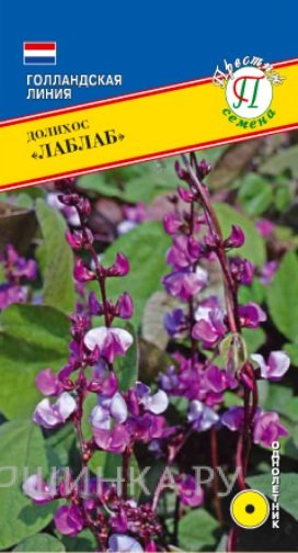 Семена Долихос "Лаблаб" 1 гр, Престиж
