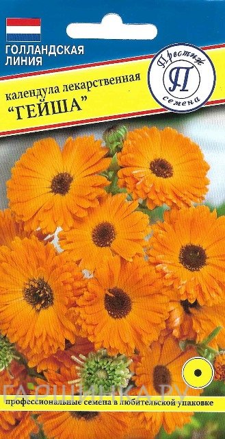 Семена Календула "Гейша" ЛЕКАРСТВЕНОЕ Р-Е 0,3 гр, Престиж