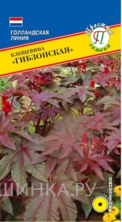 Семена Клещевина "Гибзонская" 5 шт, Престиж