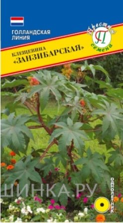 Семена Клещевина "Занзибарская" 5 шт, Престиж