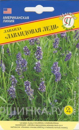 Семена Лаванда "Лавандовая леди" 0,01 гр, Престиж