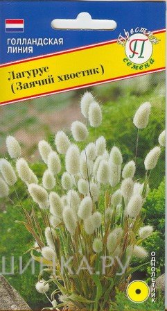 Семена Лагурус (заячий хвостик) 10 шт, Престиж