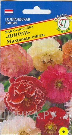 Семена Мак самосейка "Ширли" Махровая смесь 0,1 гр, Престиж