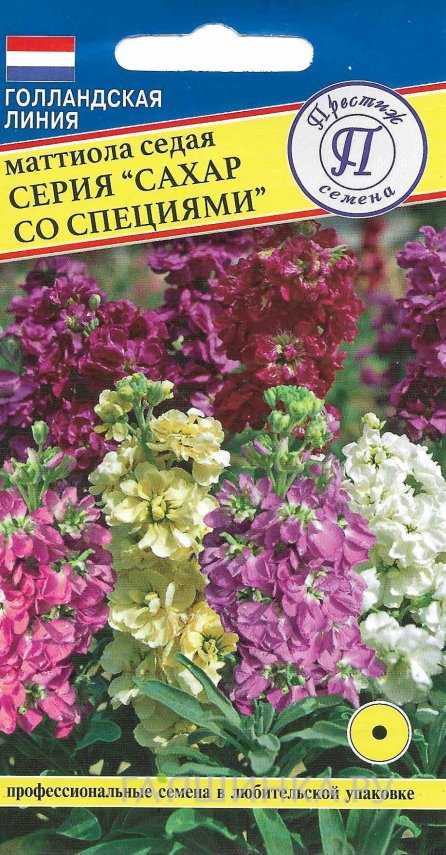 Семена Маттиола седая "Сахар со специями"  Смесь 10 шт, Престиж