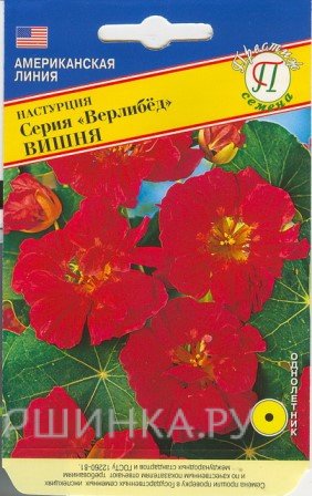 Семена Настурция большая "Верлибёд" Вишня 1 гр, Престиж