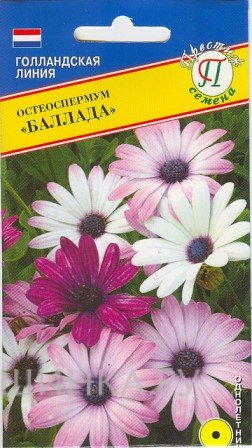 Семена Остеоспермум "Баллада" 5 шт, Престиж