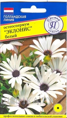 Семена Остеоспермум Эклонис белый 0,05 гр, Престиж