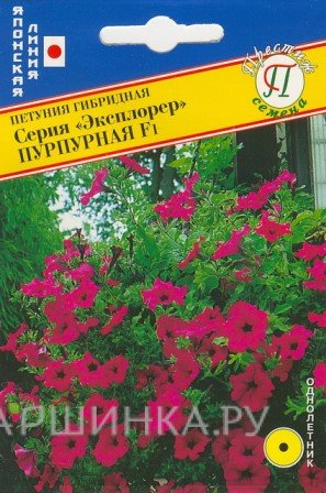 Семена Петуния амп.крцв."Эксплорер" Пурпурная F1 5 др, Престиж