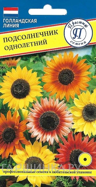 Семена Подсолнечник однолетний Смесь 10 шт, Престиж