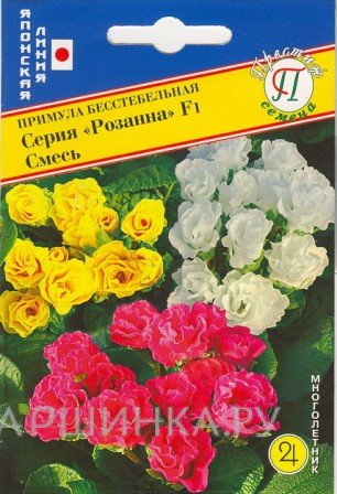 Семена Примула бесст.махр."Розанна" Смесь F1 5 шт, Престиж