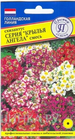 Семена Схизантус "Крылья Ангела" смесь 0,1 гр, Престиж