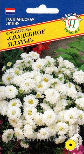 Семена Хризантема "Свадебное платье" 10 шт, Престиж