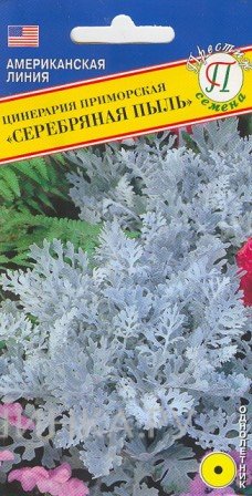Семена Цинерария "Серебряная пыль" 100 шт, Престиж
