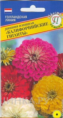 Семена Цинния изящная "Калифорнийские гиганты" 35 шт, Престиж