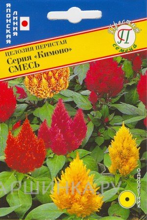 Семена Цинния изящная "Лилипут" 35 шт, Престиж