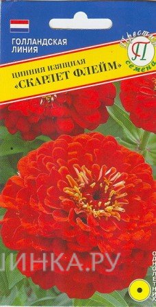 Семена Цинния изящная "Скарлет флейм" 20 шт, Престиж