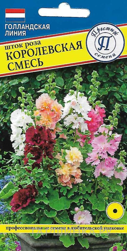 Семена Шток роза "Королевская смесь" 0,1 гр, Престиж