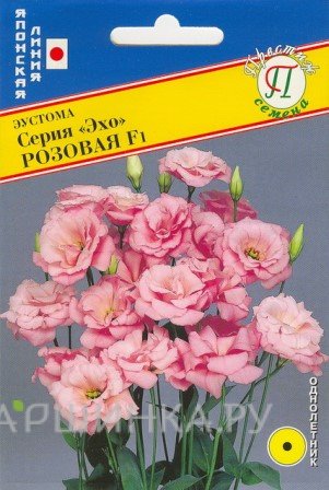 Семена Эустома "Эхо" Розовая F1 10 др, Престиж