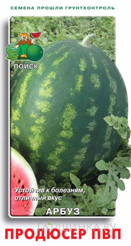 Семена Арбуз АУ Продюсер ПВП 15, Поиск
