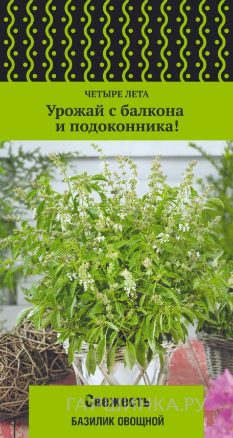 Семена Базилик овощной Свежесть (А) 0,1, Поиск