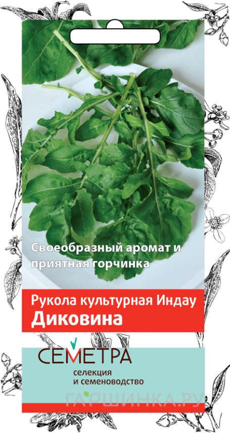 Семена Индау Диковина (А) 1, Поиск