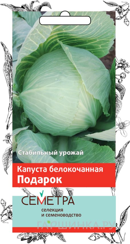 Семена Капуста белокочанная Подарок 0,5, Поиск