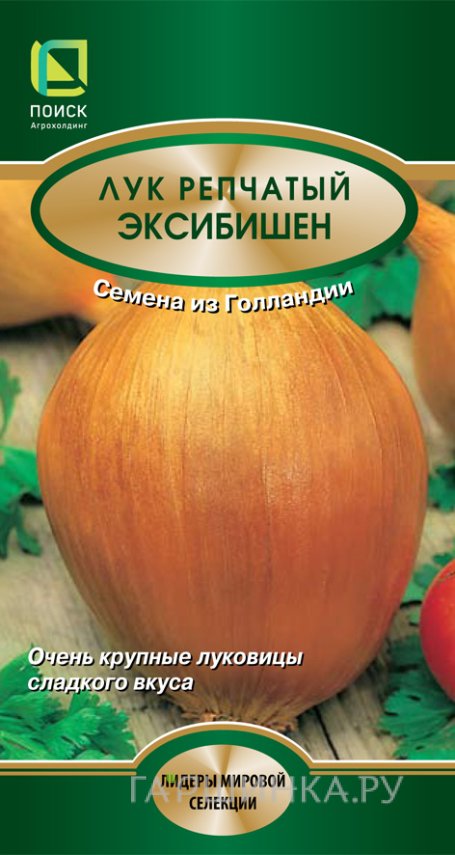 Семена Лук репчатый Эксибишен 0,5, Поиск
