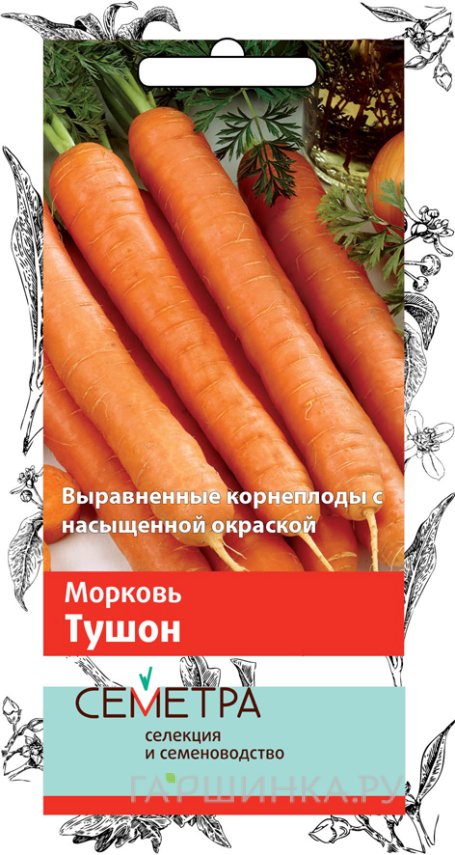 Семена Морковь Тушон (А) 2, Поиск